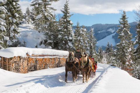 Pferdeschlittenfahrten - Winterurlaub in der Urlaubsregion Hochkönig, Ski amadé