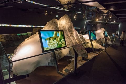 Nationalparkzentrum Hohe Tauern - Ausflugsziel im Salzburger Land